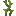 big_dripleaf_stem