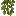 cave_vines