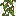 cave_vines_plant
