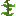 kelp_plant