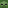 Zombie Head